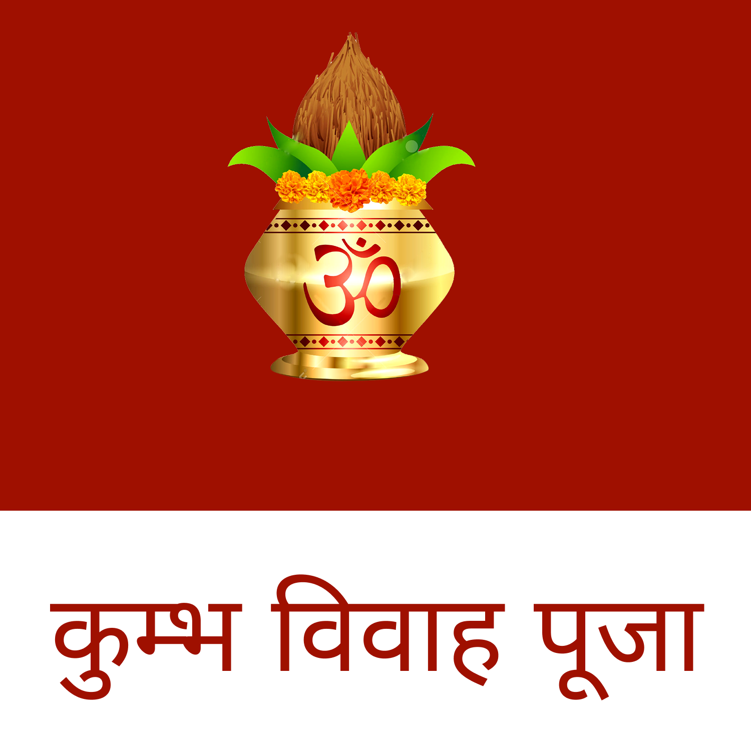 assets/cardimg/kumbh vivah Pooja.png